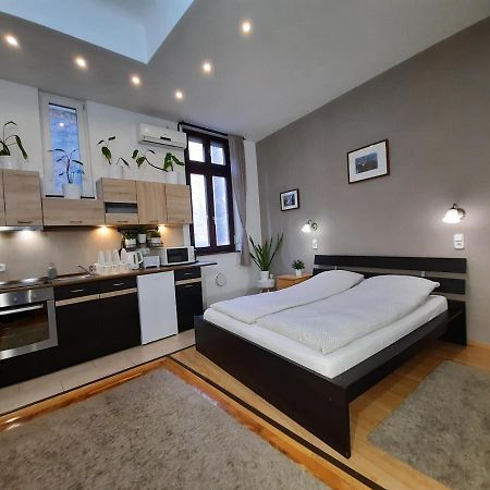 Central Gold Apartment ブダペスト エクステリア 写真